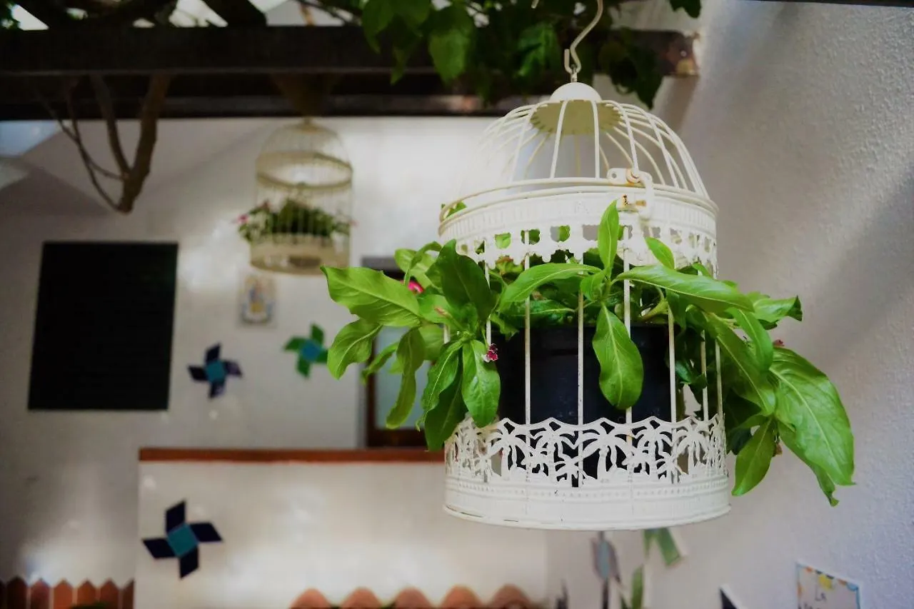 Casa Gandamar B&B Santa Teresa Gallura Bed and breakfast